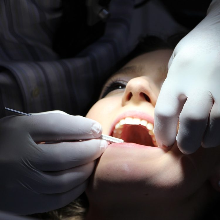 Dental exam in progress